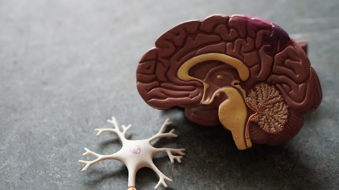 Forstå Neuropati: En Guide til Symptomer og Behandling